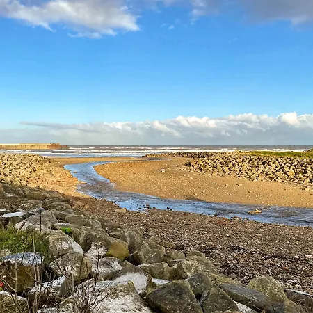 Cremona * Carlin How